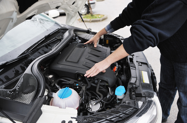 บลูบัฟฟาโล่ เช่ารถตักล้อยาง